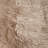Wiltz Sheepskin Animal Print Indoor Rug-318843982