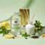 Recharge pour diffuseur d'eucalyptus