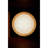 Bond Sconce Single