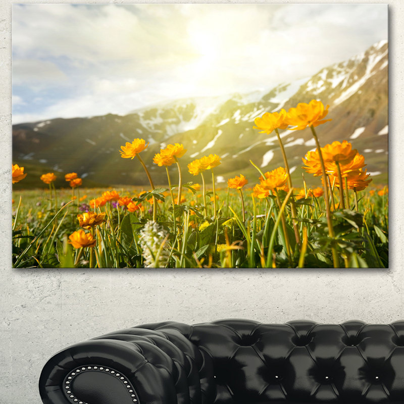 Mountain Pasture with Yellow Flowers - Reproduction de photo sur toile tendue, H 30 po x l 40 po