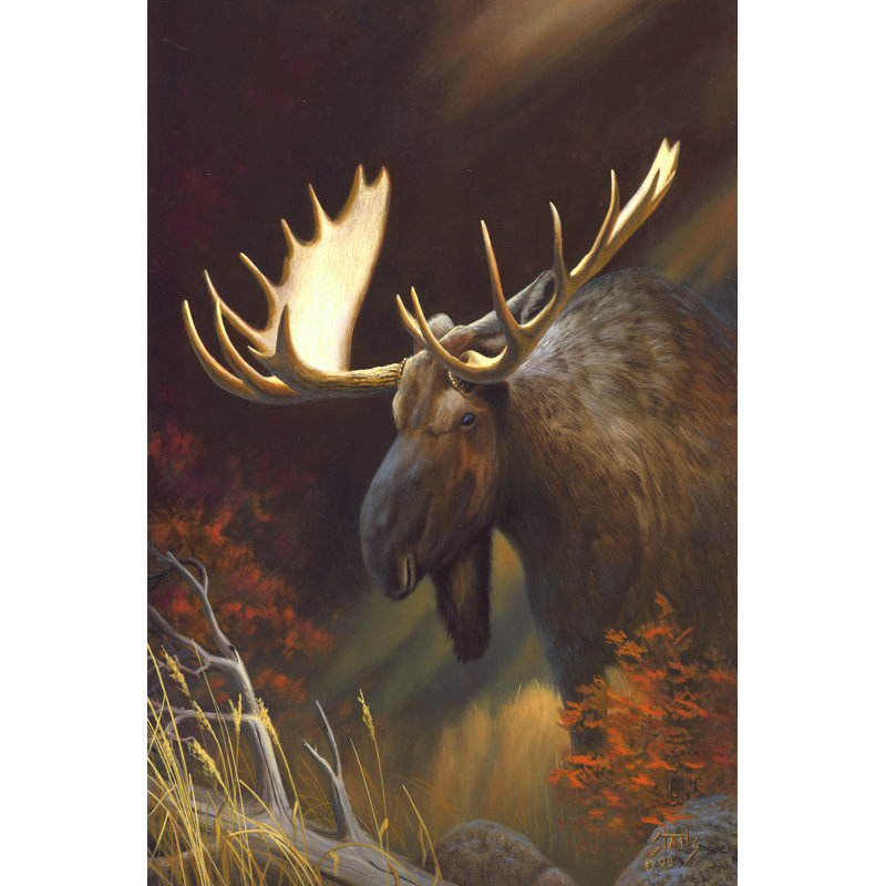 Moose Portrait - Wrapped Canvas Print, 76cm H x 51cm W
