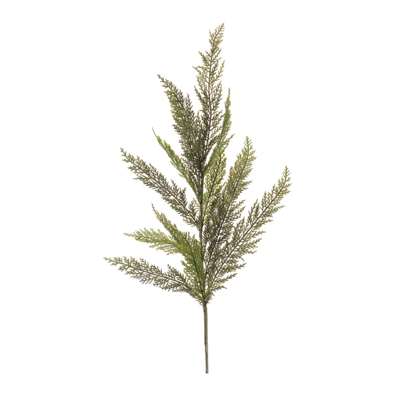 Jet de pin Evergreen (ensemble de 6)