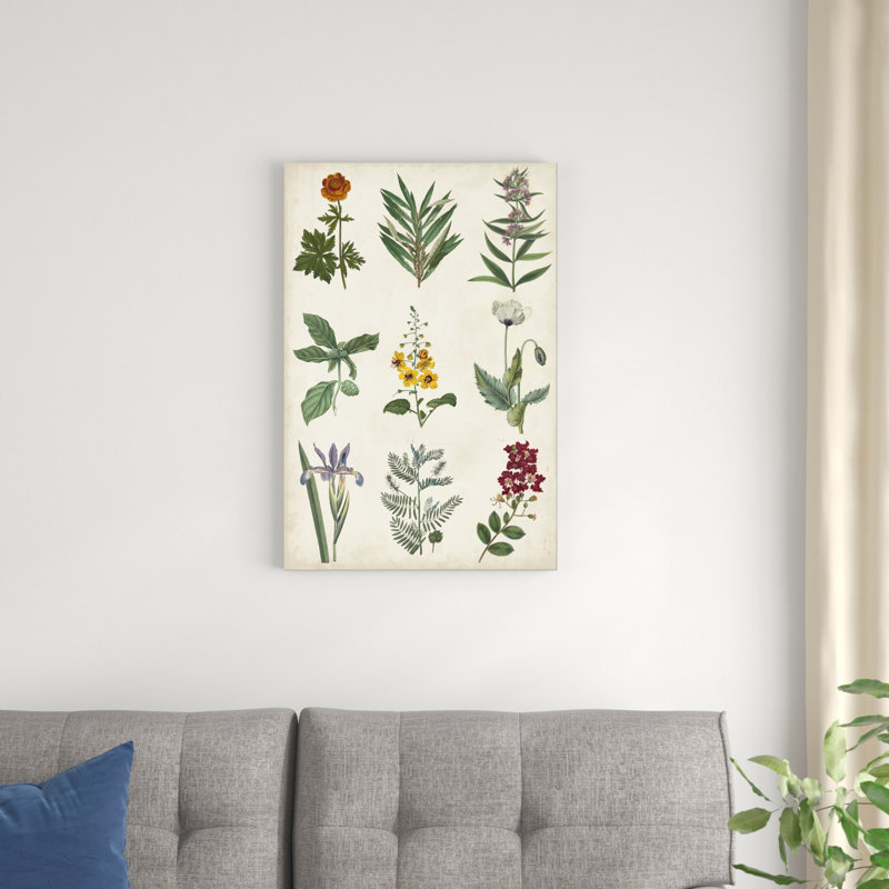 Carte botanique II, H 30 po x l 20 po x P 1,25 po
