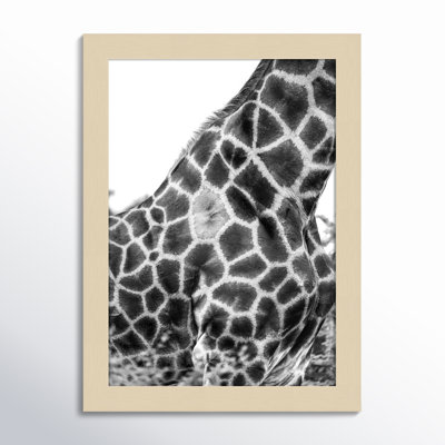 Rochellt "Super Safari No. 3 Giraffe" Print