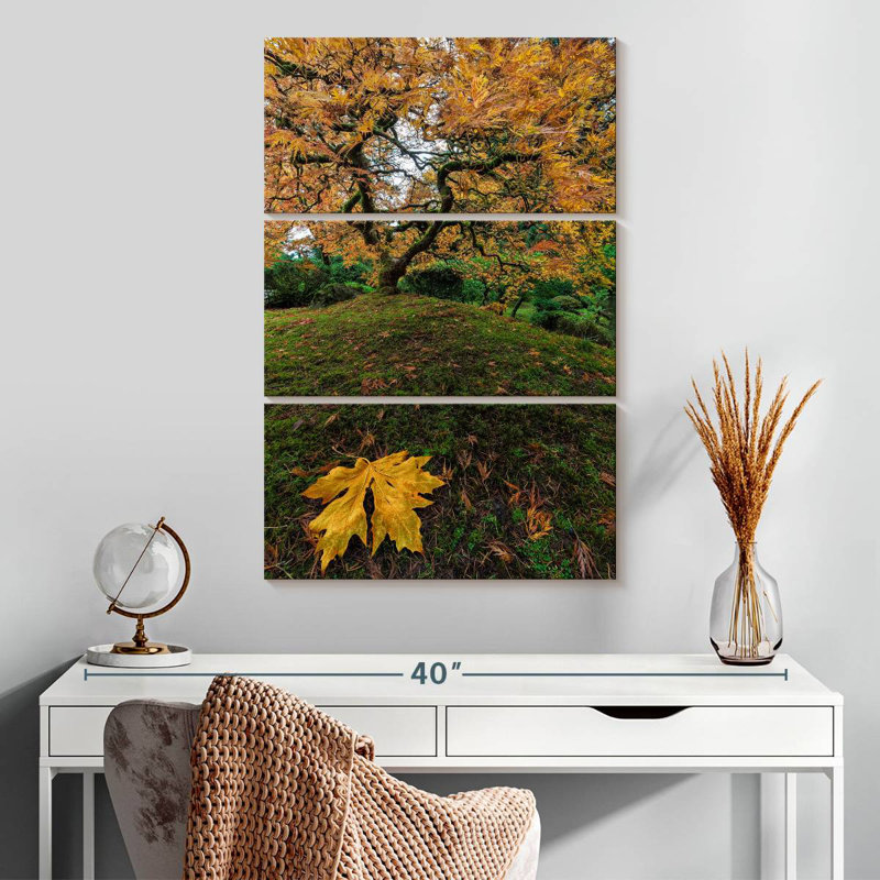Harnek Japanese Maple Tree Autumn