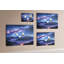 Prakruti Cork Corkboard / Bulletin Board