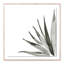 Agave I Print by Jess Engle-48615480-48615485