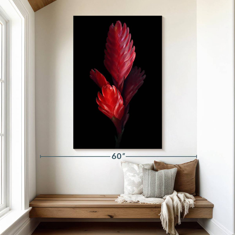 Harnek Bromeliad, 51" H x 34" W