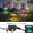Transparent Integrated LED Pathway Light Pack