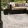Ornate Lamotte Indoor/Outdoor Area Rug