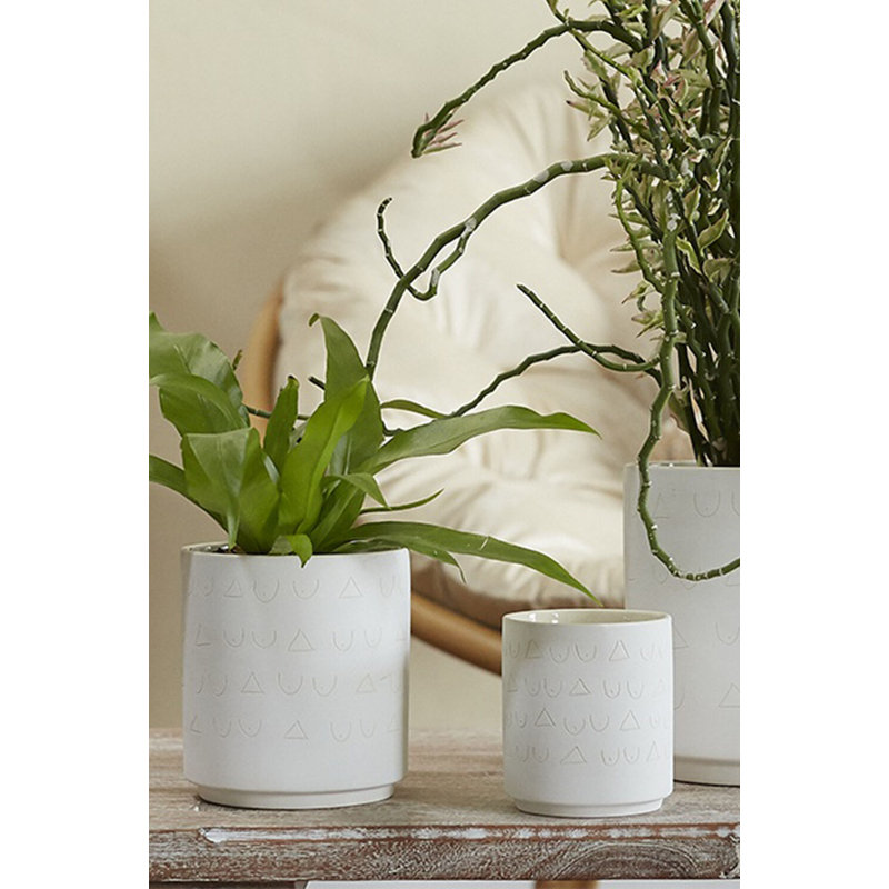 Pot triangulaire et tatas 3,25 po x 3,5 po