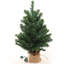 Épinette du Nord 2 pi avec base en toile de jute | Verdure réaliste | Utilisation intérieure / extérieure | Fêtes et décorations de Noël | Décoration de table | Décoration pour la maison et le bureau | 2 pièces