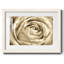 Fleur murale neutre IV-109224448-109224449