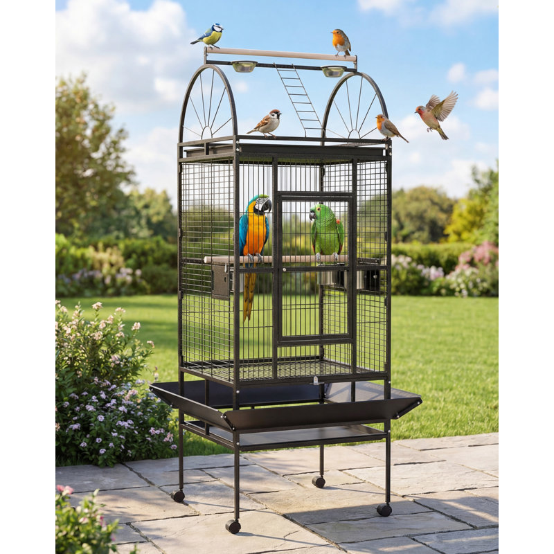 176 Bird Cage