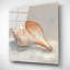 «Impressionist Shell Study III» par Ethan Harper, art mural en verre acrylique-733965938
