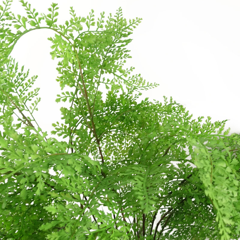 Anjeli 100cm Faux Foliage Plant in Pot