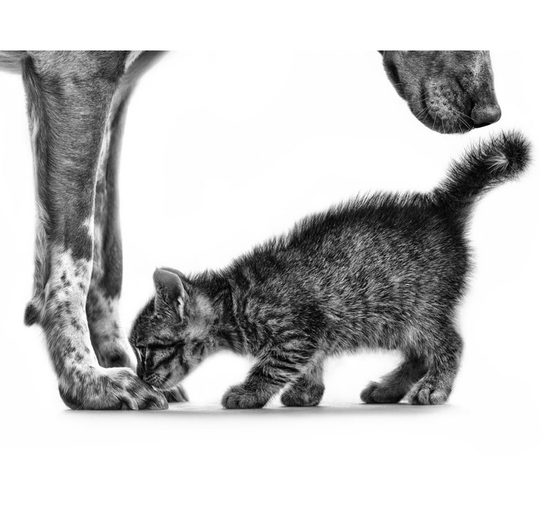 Wrapped Canvas Print, 60.96 cm H x 91.44 cm W