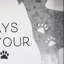 Plaque de table en bois Jyrki Always Kiss Your Dog