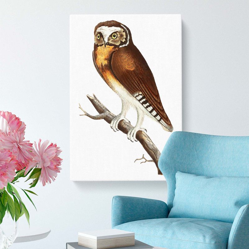 White Fronted Owl by George Shaw - Wrapped Canvas Print, 50cm H x 35cm W x 3cm D