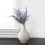 Plastic Lavender Bush-841591332