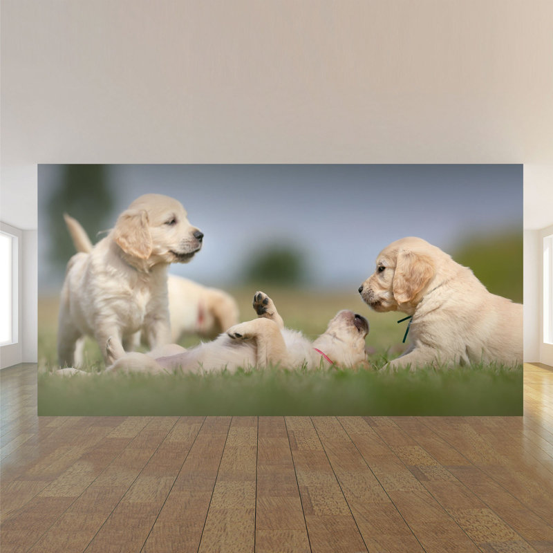 Panneau de papier peint Vrtanes Dog, L 100,08 po x l 192 po
