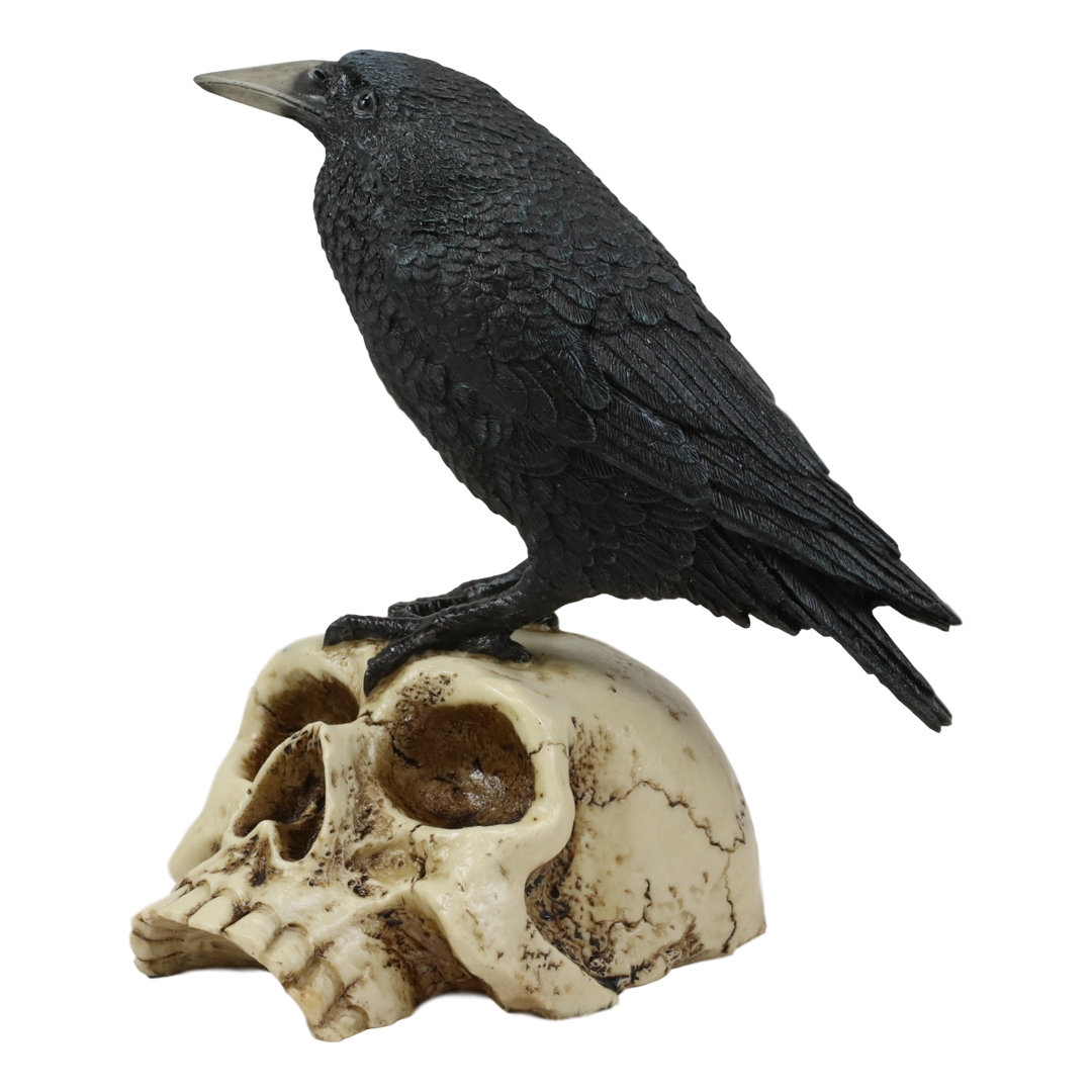 Raven Bird Perching on Skull The Holiday Aisle®