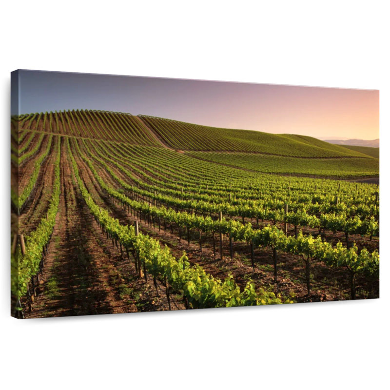Alvord Carneros Winery