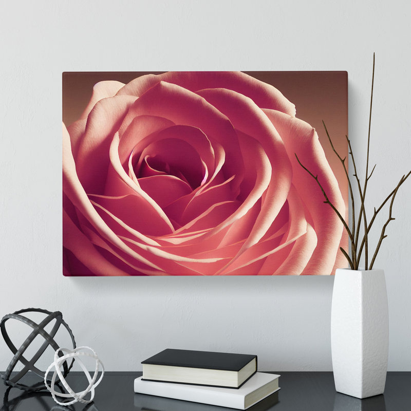 Beguiling Rose Flower - Wrapped Canvas Print, 35cm H x 50cm W x 3cm D