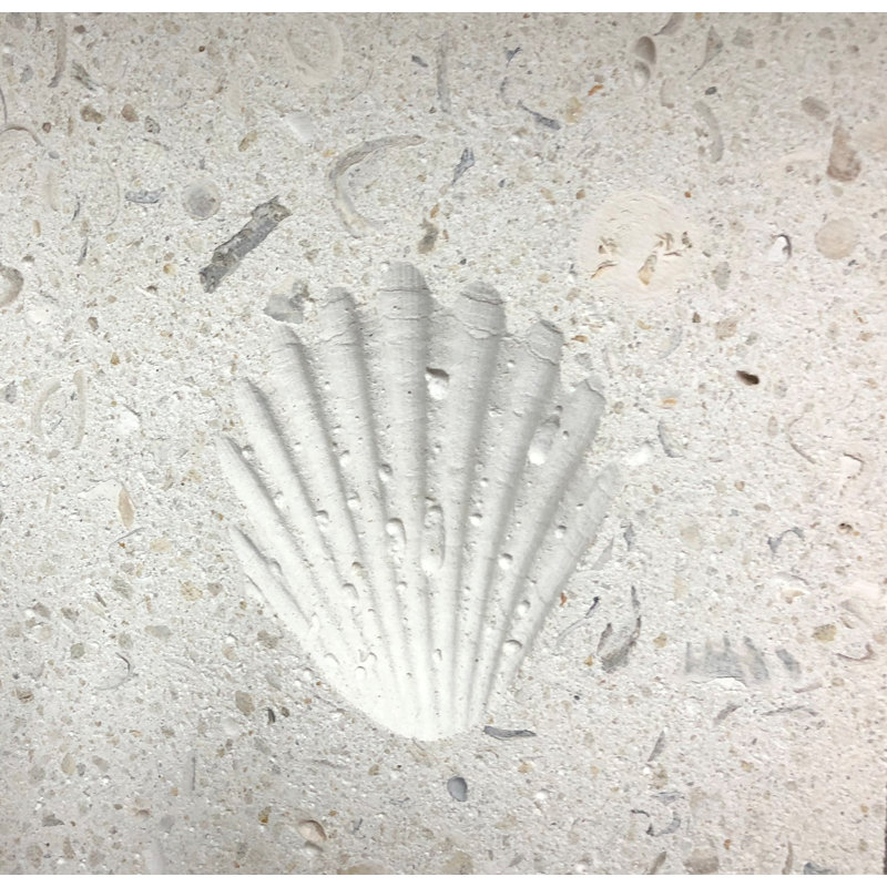6'' x 6'' Compressed Stone Decorative Accent Tile