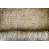 Golden Dawn Print by Beverly Fuller