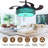 Zahnya 42'' Ceiling Fan with LED Lights-684725926