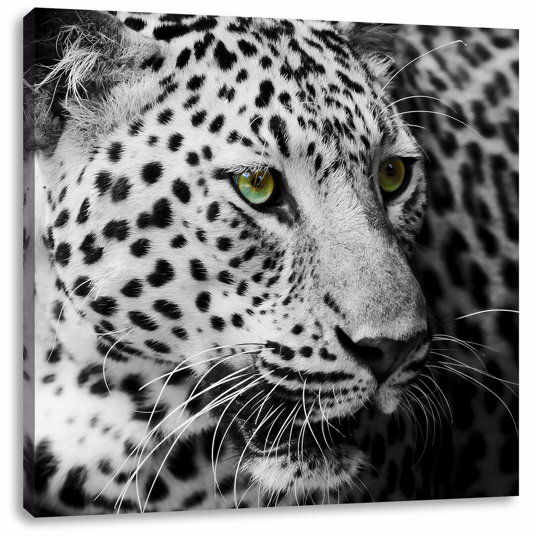 Leinwandbild Dark Leopard mit grünen Augen