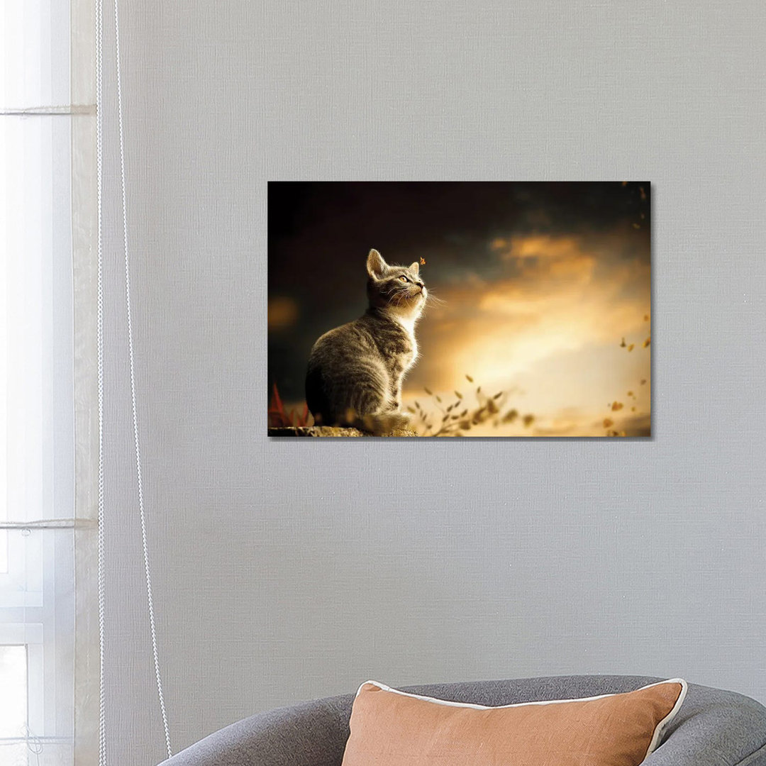 Cat by Milos Karanovic - Wrapped Canvas Print