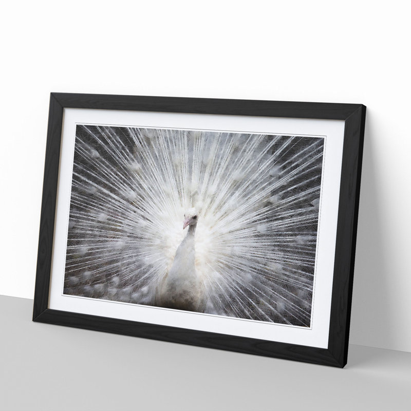 White Peacock Painting - Picture Frame Graphic Art, Black, 36cm H x 48cm W x 2cm D