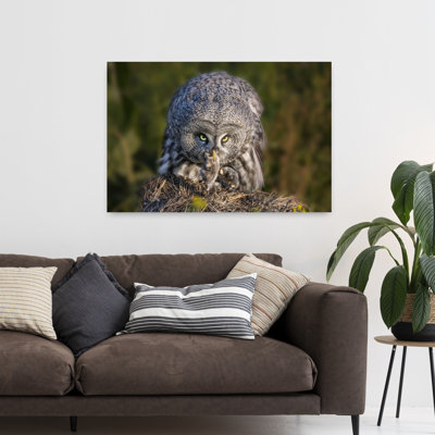 «Great Grey Hunter», reproduction d'art contemporain de paysage d'oiseau hibou contemporain
