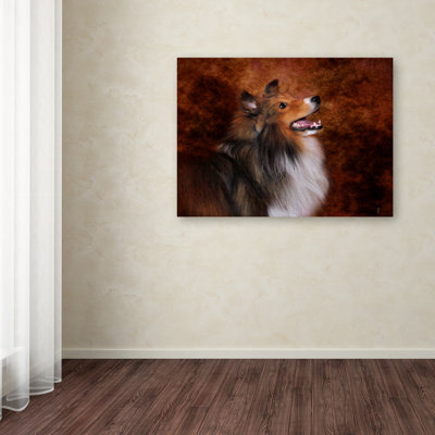 «Shetland Sheepdog» de Vidur, impression sur toile tendue