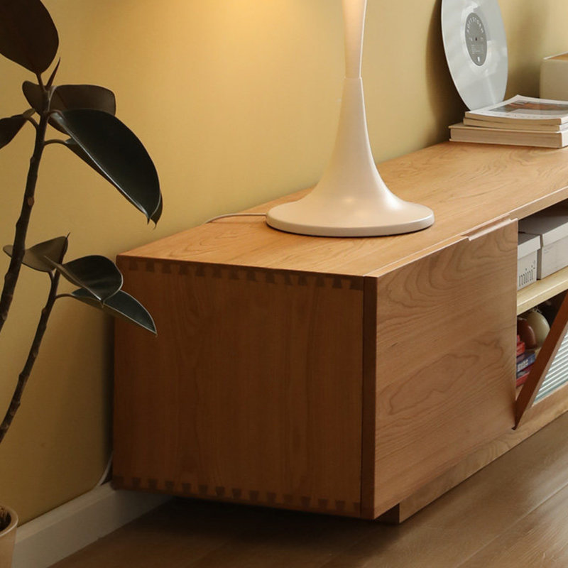 Multifunctional simple audiovisual storage cabinet