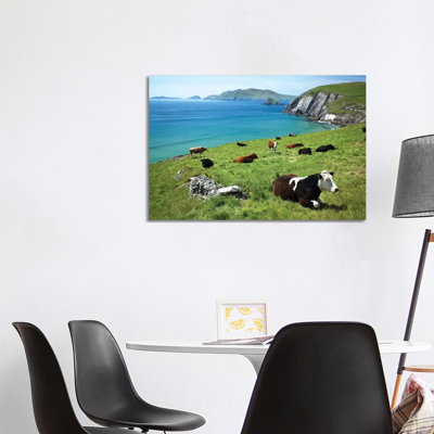 Cows Resting Above Coumeenoole Bay, Dingle Peninsula, County Kerry, Ireland 1 Piece Wrapped Canvas Wall Art