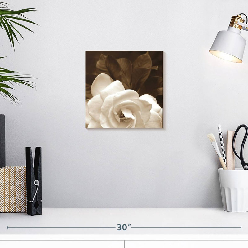 Jardin Harnek Gardenia, H 10 po x l 10 po