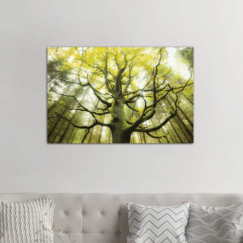 «The Dreamtree» par Stefan Hefele - reproduction de photo, Toile tendue, H 40 po x l 60 po x 1,5 po