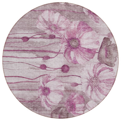  Emblyn Area Rug
