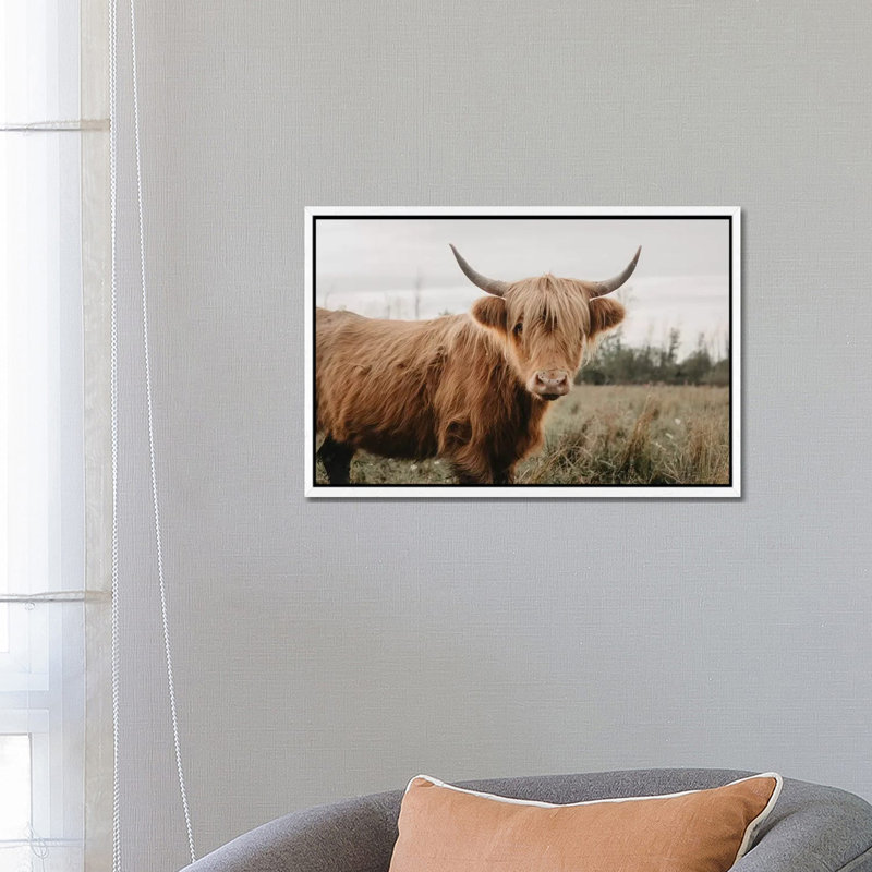 Stoic Highland Cow 1 Piece Wall Art on Canvas, 66.04 cm H x 45.72 cm W, White Framed