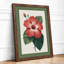 Hibiscus Study Botanical - Framed Print-1496888478-1496888479