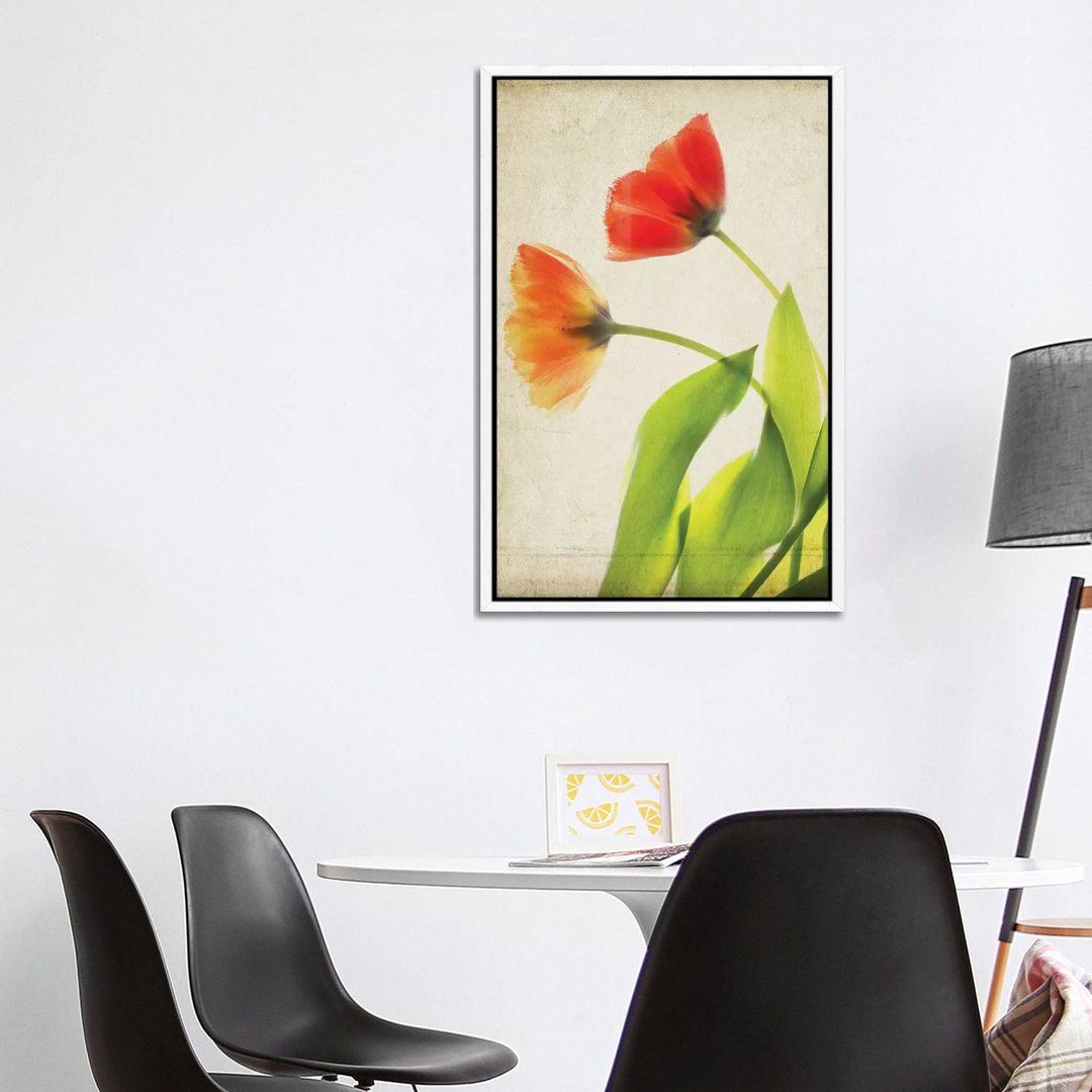 Pergamentblumen VI von Judy Stalus - Galerie-verpackte Leinwand Giclée auf Leinwand