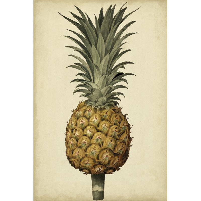«Brookshaw Antique Pineapple II», peinture sur toile, H 48 po x l 32 po
