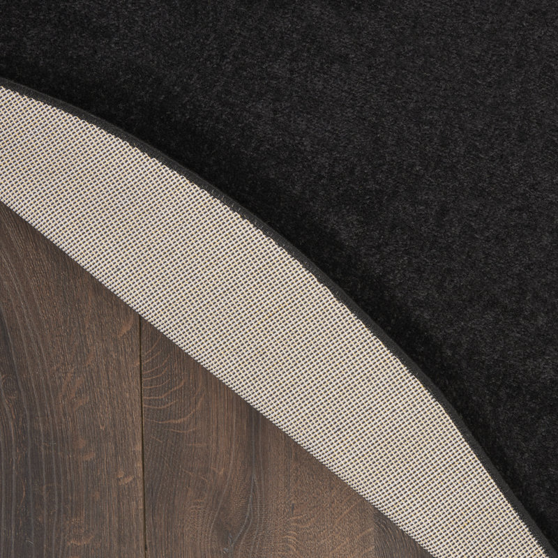 Nourison Essentials Black Indoor/Outdoor Area Rug, Round 4'