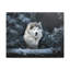 «Husky sibérien», impression d'art mural-1776214555