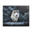 Wall Art on Canvas