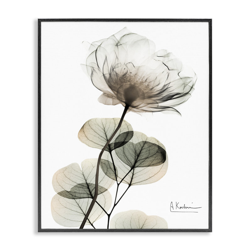 Giclée simple et élégante à fleurs blanches, design par Albert Koetsier, H 14 po x l 11 po, Giclée encadrée noir minuit