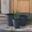 Pot de fleurs Waitman-1631442497
